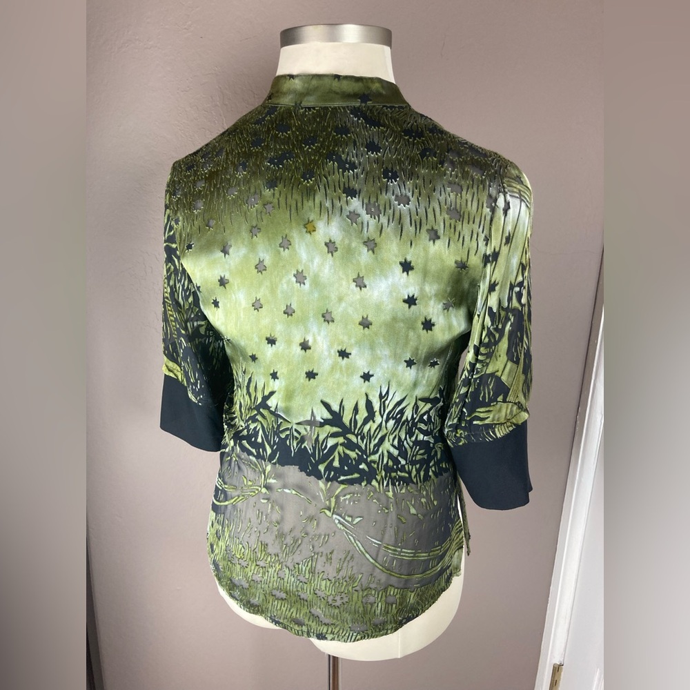 Gorgeous Green Citron Silk and Rayon Sheer Goddess Blouse - Medium - Picture 9 of 16